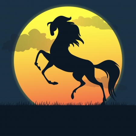Horse at sunset - Illustration, vectorのイラスト素材