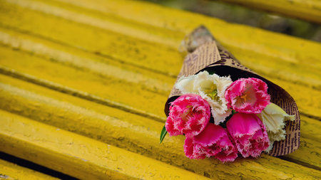 Bouquet of red and white tulips on Yellow bench. Mothers day.の写真素材