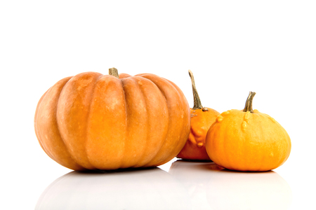 Three pumpkins isolated on white background.の写真素材