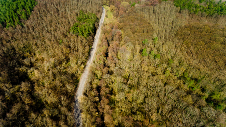 Asphalt road through the forest. Top view.の写真素材