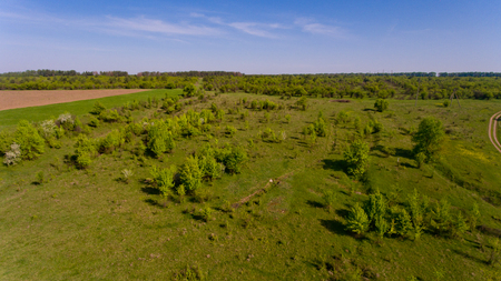 Beautiful aerial view of the wild nature and blue sky.の写真素材