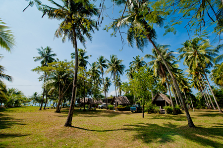 Typical village on the ocean on the island of Koh Chang, Thailand.の写真素材