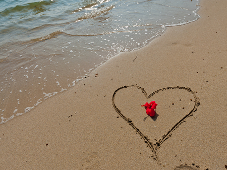 Red flower and a heart sign on yellow sand and clear water. Tropical background.の写真素材