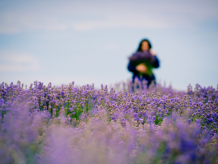 Soft focus flowers, beautiful lavender flowers blooming. Girl with a bouquet in the background in the defocus.の写真素材