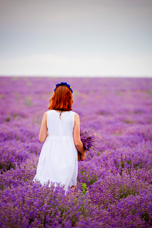 Young woman in a white dress in a lavender field.の写真素材