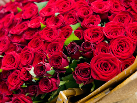 A bouquet of red roses close-up. Selective focus.の写真素材