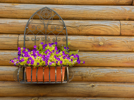 Basket with flowers on a wooden background.の写真素材