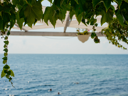 A view of the sea with a frame of green plants.の写真素材