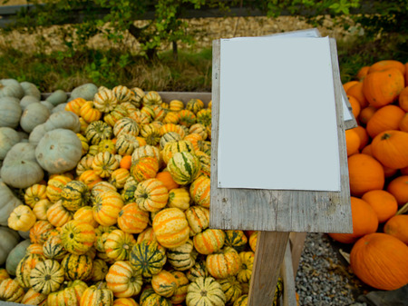 Tiger mini pumpkins in the market place.の写真素材