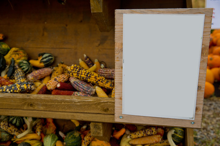 A variety of colored decorative corn at the market place.の写真素材