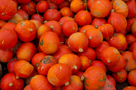 Fall red pumpkins background.の写真素材