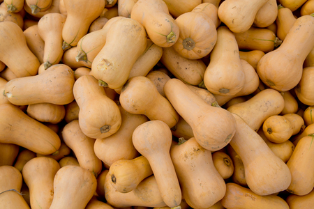 Fall yellow pumpkins background.の写真素材