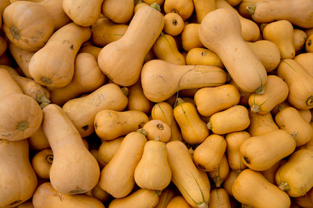 Fall yellow pumpkins background. Close-up.の写真素材