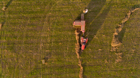 Top view of tractor collects hay from the field. Aerial view.の写真素材