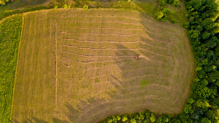 Top view of tractor collects hay from the field. Aerial view.の写真素材