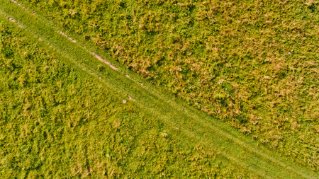Country road through a green lawn. Top view.の写真素材