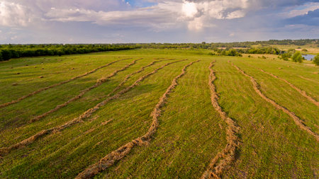 Aerial view of tractor collects hay from the field.の写真素材