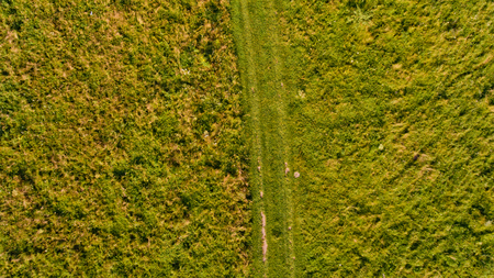 Country road through a green lawn. Top view.の写真素材