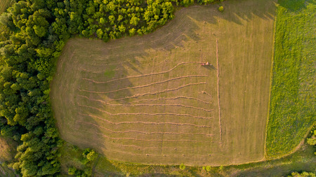 Top view of tractor collects hay from the field. Aerial view.の写真素材