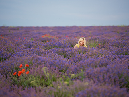 Young girl in yellow dress, posing in a lavender field.の写真素材