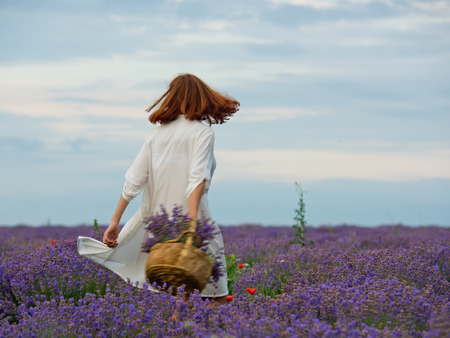 Young girl in white dress, posing in a lavender field.の写真素材
