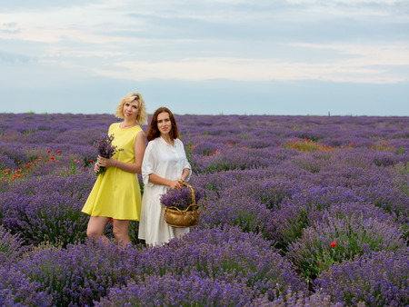 Two young girls with different hair color in white and yellow dresses, posing together in a lavender field.の写真素材
