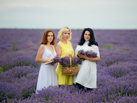 Three young girls with different hair color in white dresses, posing together in a lavender field.の写真素材