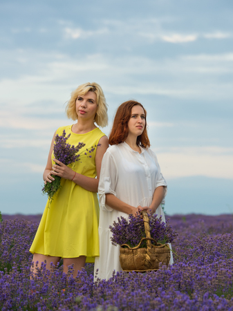 Two young girls with different hair color in white and yellow dresses, posing together in a lavender field.の写真素材