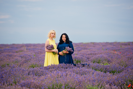 Two young girls with different hair color in blue and yellow dresses, posing together in a lavender field.の写真素材