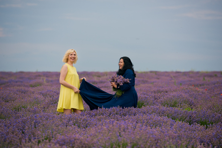 Two young girls with different hair color in blue and yellow dresses, posing together in a lavender field.の写真素材