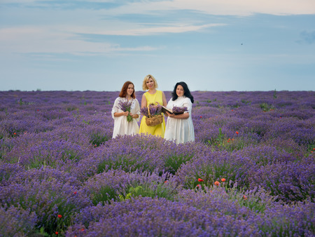 Three young girls with different hair color in white dresses, posing together in a lavender field.の写真素材