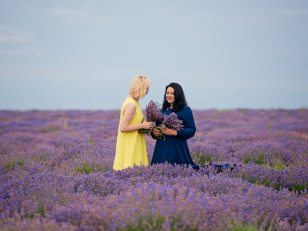 Two young girls with different hair color in blue and yellow dresses, posing together in a lavender field.の写真素材