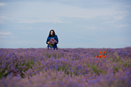 Young girl in blue dress, posing in a lavender field.の写真素材