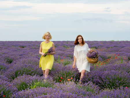 Two young girls with different hair color in white and yellow dresses, posing together in a lavender field.の写真素材