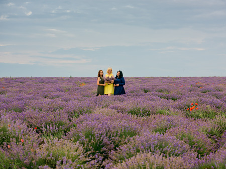 Three young girls with different hair color in different dresses, posing together in a lavender field.の写真素材