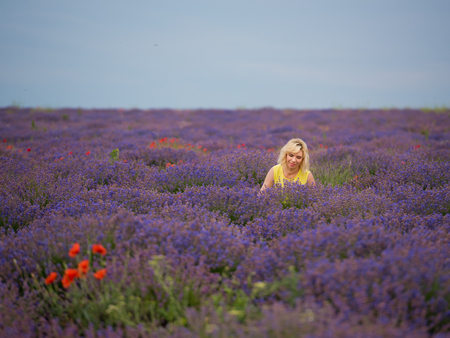 Young girl in yellow dress, posing in a lavender field.の写真素材