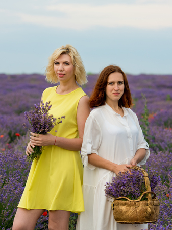 Two young girls with different hair color in white and yellow dresses, posing together in a lavender field.の写真素材