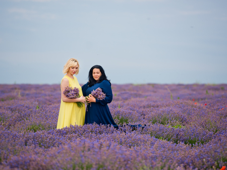 Two young girls with different hair color in blue and yellow dresses, posing together in a lavender field.の写真素材