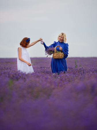 Two girls in blue and white dresses posing in a lavender field.の写真素材