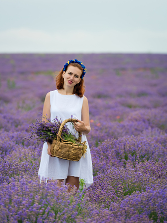 Young girl in white dress, posing in a lavender field.の写真素材