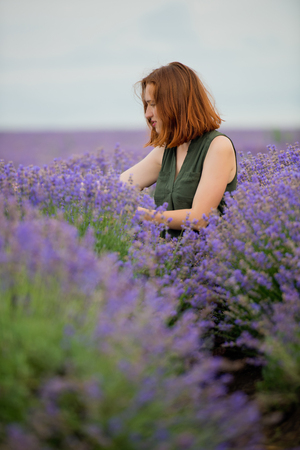 Young girl with, posing in a lavender field.の写真素材