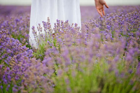 Young girl in white dress, posing in a lavender field. Close-up.の写真素材