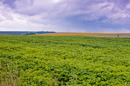 Beautiful view of green field and blue sky.の写真素材