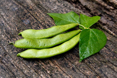 Raw green beans on wood background. Closeup.の写真素材