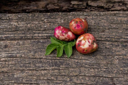 Raw young potatoes with foliage on a wooden background.の写真素材