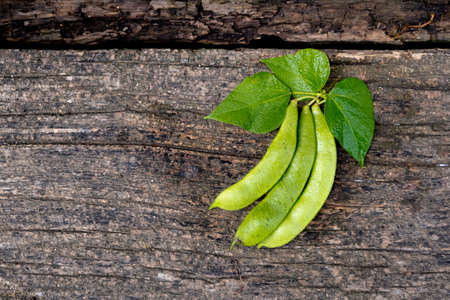 Raw green beans on wood background. Closeup.の写真素材
