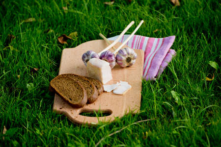 Garlic, lard and bread on a grass background.の写真素材