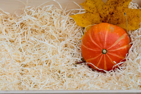 Orange pumpkin in a wooden box with copy space.の写真素材