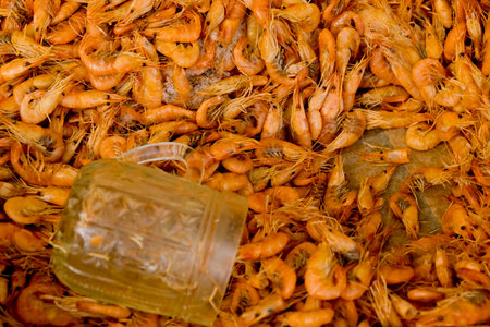 Small fresh boiled pink shrimp ready to eat. Street food festival. Selective focus. Close-up. Food background.の写真素材