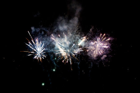 Colorful fireworks in the night sky.